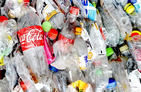 South Australia becomes first state in the country to ban single-use ...