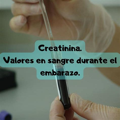 Creatinina: Valores normales en el Embarazo 🤰🏻