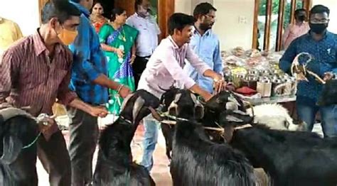 1000 கிலோ காய்கறிகள், மீன்கள், இனிப்புகள்; வண்டி வண்டியாக சீர் வரிசைகளை ...