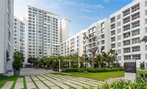 Trees – Kapadia Associates.