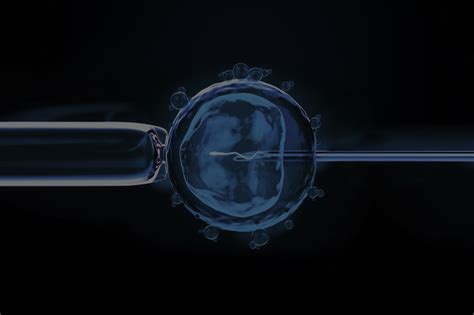 Humans Actually Making a Baby 的图像结果