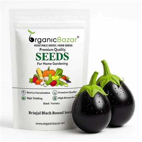 Brinjal Black Round Seeds Online - Organicbazar