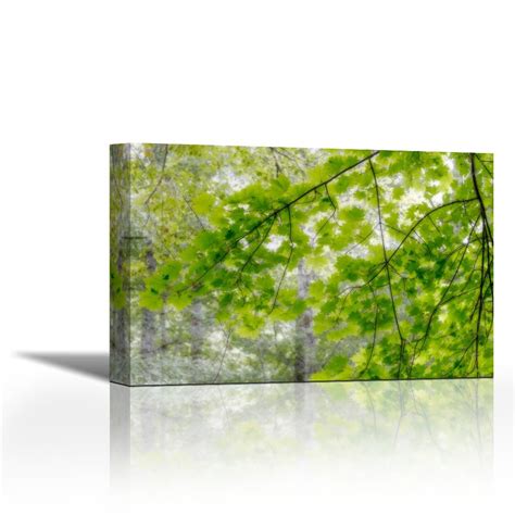 Karmakara Big Leaf Maple I - Fine Art Print Wall Art ON Canvas Art ...