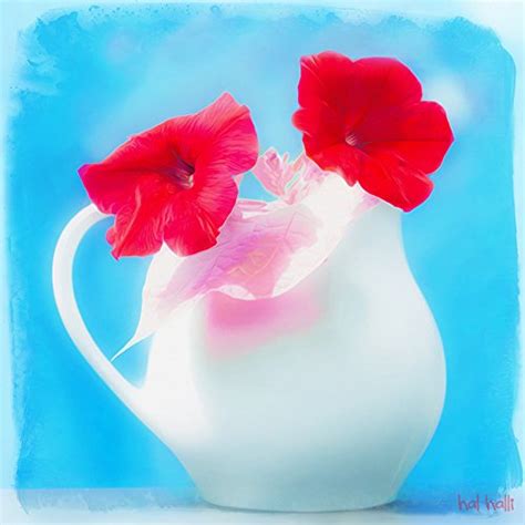 Hadley House Passion in a Pitcher by Hal Halli Wall Art, 20 x 20 ...