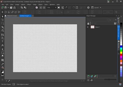 Image result for CorelDRAW Essentials Tutorial Layering