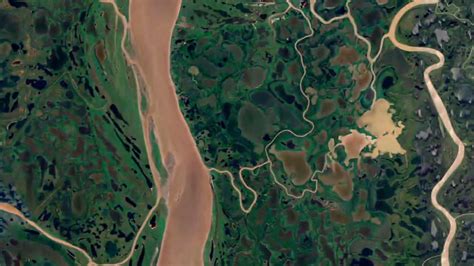 Alone | Season 11 Now Streaming | On Stan.