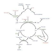 Image result for Infix to Prefix Conversion Stack Data Structures