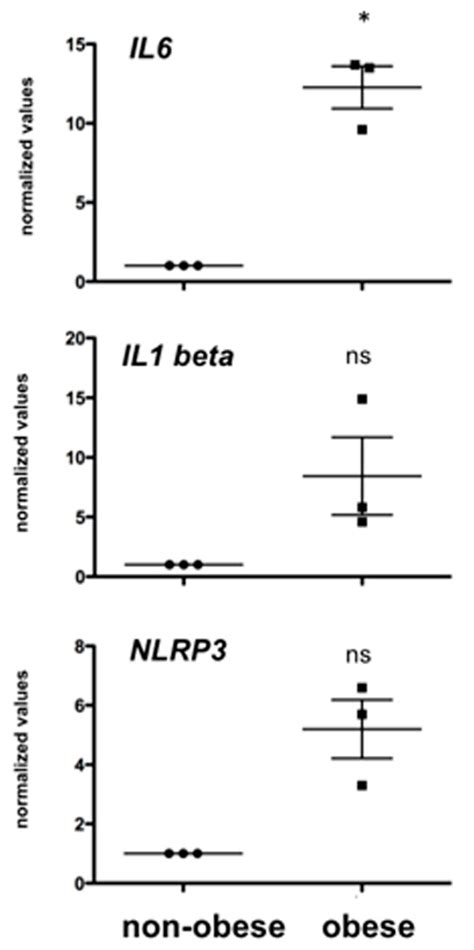Palmitic Acid Targets Human Testicular Peritubular Cells and Causes a ...
