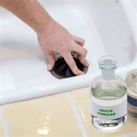Revitalize Your Garbage Disposal: Effective Cleaning Tips Using Vinegar ...