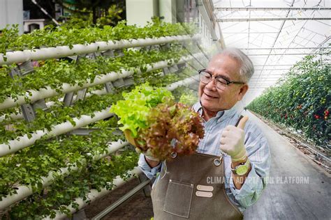 Vertical Indoor Farming as a Climate Adaptation Option