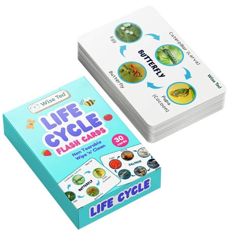 Buy Wise Ted Lifecycle Flash Cards for Kids – Learn How Plants, Animals ...