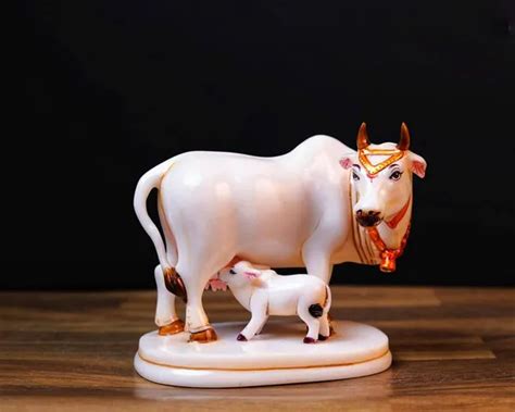 Shopping Uncle White Golden Calf Statue in Marble Dust, Holy Kamdhenu ...