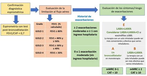Fenotipar al paciente con EPOC según la guía GOLD o la GesEPOC | Live-Med