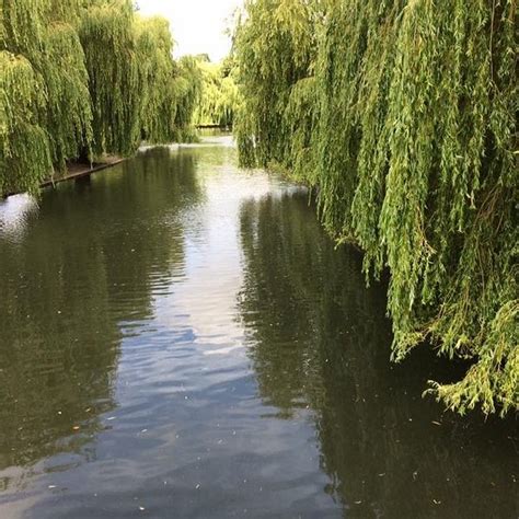 Wigmore Valley Park (Luton) - All You Need to Know BEFORE You Go