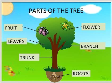 Image result for Tree Structure HTML/CSS