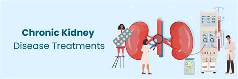 Advanced Treatments for Chronic Kidney Disease in Begumpet