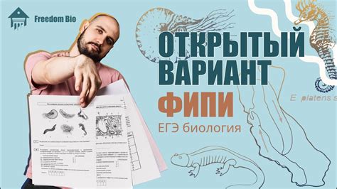 Разбор ОТКРЫТОГО ВАРИАНТА ФИПИ с Досрочного ЕГЭ 2024 |ЕГЭ БИОЛОГИЯ 2024 ...