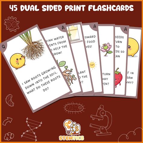 Biology Science Flash Cards for Kids Set – INDIKONB