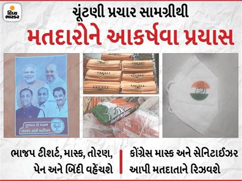 election campaign for municipal and local body BJP's beautiful and ...