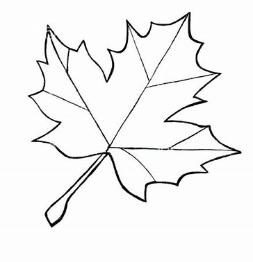 anime drawing tutorial sites
