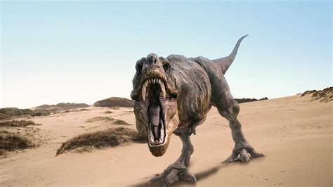 恐龙灭绝的“最大证据”是如何被发现的？_腾讯新闻