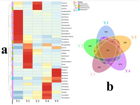 Rhizospheric Fungal Diversities and Soil Biochemical Factors of ...