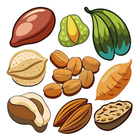 Page 3 | Peanut Varieties Vectors & Illustrations for Free Download ...