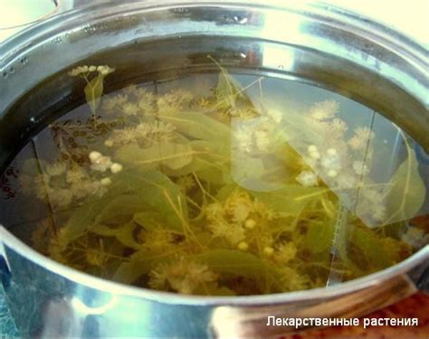 Отвары для бани рецепты приготовления своими руками