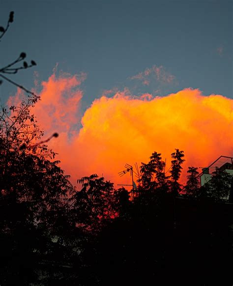 Pixabay Free High Resolution 的图像结果