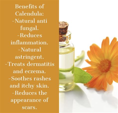 Benefits of Calendula Oil #essentialoils #purenaturebeauty # ...