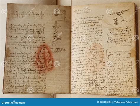 Manuscript, Drawings, Red Leaf by Leonardo Da Vinci in the Old Book the ...