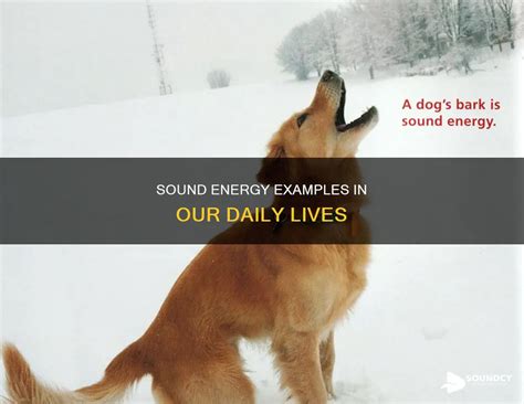 Sound Energy. Examples 的图像结果