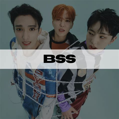 Image result for BSS Script