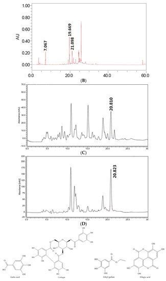 Polyphenols and Alkaloids in Byproducts of Longan Fruits (Dimocarpus ...