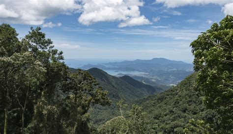 Brazilian Critical Minerals continues to grow Ema’s resource - Mining.com.au