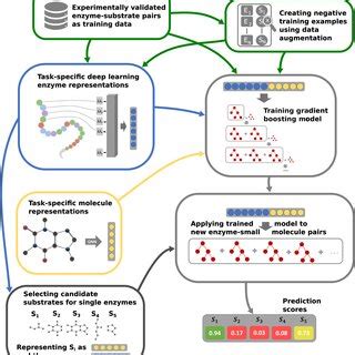 Image result for How to Perform Enzyme-Substrate Method Using Quanti Trays
