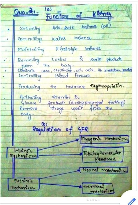Image result for Handwritten Tutorials Kidney