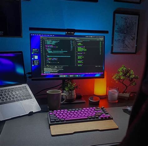 Coding Setup 的图像结果