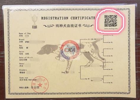 图解：CFA 猫咪血统证书申请流程 - 知乎