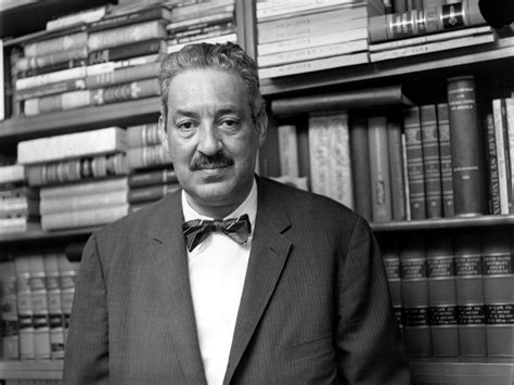 Thurgood Marshall Supreme Court Justice