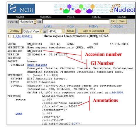 GenBank File 的图像结果