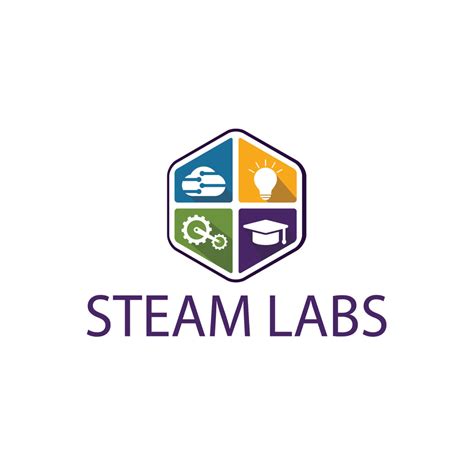 Steam Labs Python File Handling 的图像结果