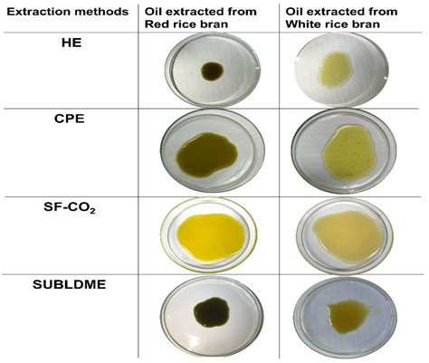 Bioactives from Crude Rice Bran Oils Extracted Using Green Technology