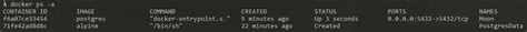 Windows Postgres Docker 的图像结果