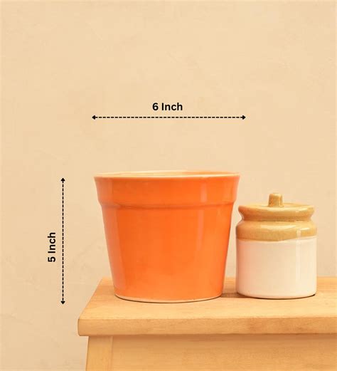 Kaller Ceramic Planter – Ugaoo