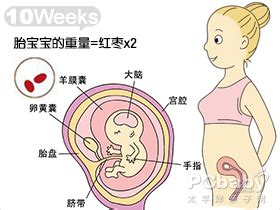 震撼！三胞胎母亲怀孕全过程(组图)-搜狐母婴