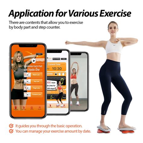 DIPDA Line Compact Core Twisters for Home Gym - Workout Twist Boards ...