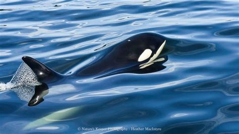 Every day is a day that we should be considerate and conscientious of ...