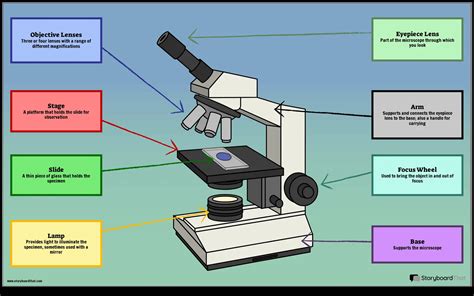Parts Of A Microscope Labeled