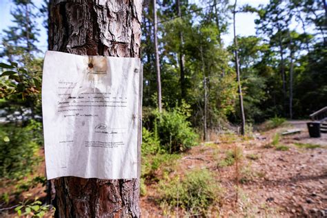 New Willis sports complex for student-athlete training to break ground